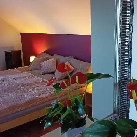 Slowikowy Zakatek Apartment *